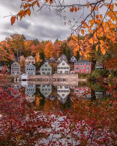 a lake surrounded by lots of trees with autumn foliage around it and houses in the background