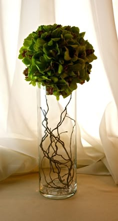 a vase filled with green plants sitting on top of a white cloth covered tablecloth