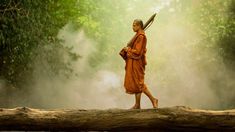 a monk walking across a log in the woods