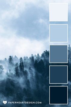 a blue and gray color palette with trees in the background