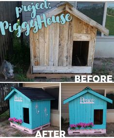 before and after pictures of a dog house