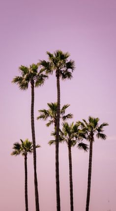 three tall palm trees against a purple sky