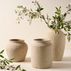 three vases with plants in them sitting on a table next to each other,