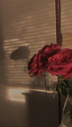 a vase filled with red roses sitting next to a window