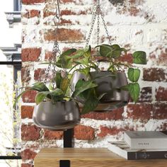 two planters hanging from chains in front of a brick wall with books on it