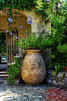 a large potted plant sitting on top of a stone walkway next to a building