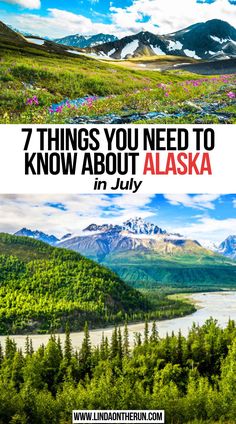 7 Things You Need To Know About Alaska in July National Parks In Alaska, Trip To Alaska Planning, Vacation In Alaska, How To Plan A Trip To Alaska, What To See In Alaska, 1 Week In Alaska, Road Trip Alaska, Alaska Trip Itinerary, Alaska On A Budget