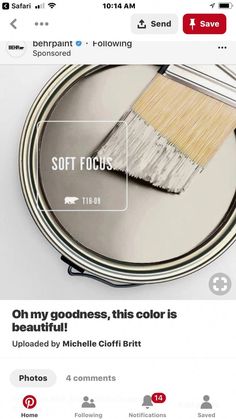 an image of a paintbrush on top of a tin with the caption soft focus