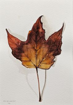 a watercolor painting of a single leaf