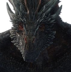 a close up of a dragon head on a white background