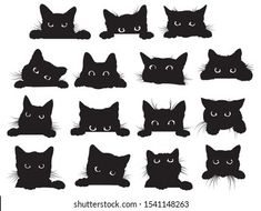 a set of black cats with different eyes and whiskers on their heads, all looking at the camera