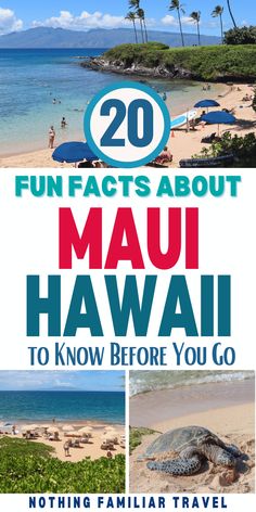 Maui Hawaii Things To Do In Maui With Kids, Travel To Hawaii, Hawaii Ideas, Visiting Hawaii, Maui Travel Guide