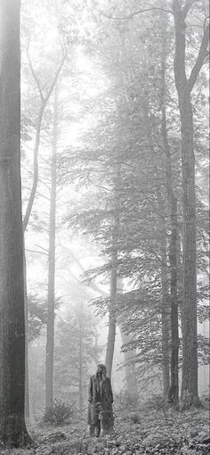 two people walking through the woods with trees in the foreground and a quote that reads, and i can go anywhere i want