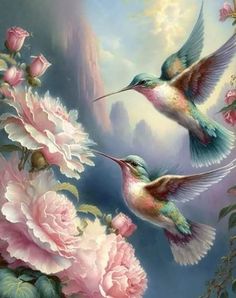 two hummingbirds in flight with pink flowers