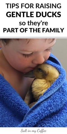 a young boy is holding a duck in his arms and the text reads tips for raising gentle ducks so they're part of the family