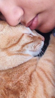 a woman is cuddling her cat with her face close to the camera while she sleeps