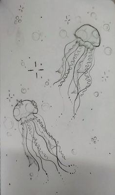 a drawing of two jellyfish in the water