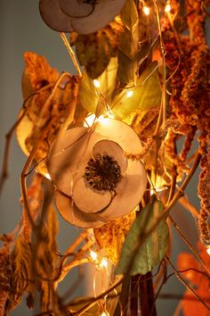 a white flower sitting on top of a tree with lots of lights in the background