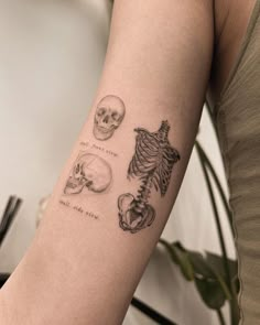 a woman with a tattoo on her arm showing different types of bones and skull parts