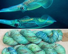 two pictures with different colors of yarn next to an image of squids in the water