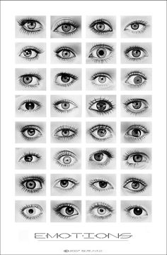 an image of different types of eyes in black and white stock photo - 1307982