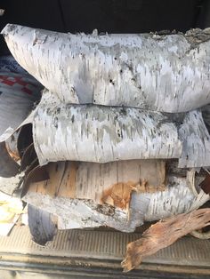 the trunk of a tree that has been cut down and is sitting in the back of a truck