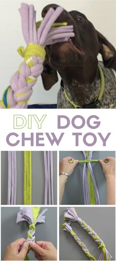 the instructions for how to tie a dog's chew toy are shown in this collage