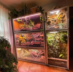 a display case filled with lots of different types of plants