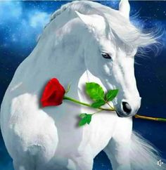 a white horse with a red rose in its mouth and stars in the sky behind it