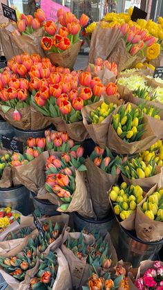 many different types of flowers are on display in the flower market, including tulips