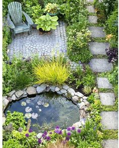 a small pond surrounded by plants and rocks in the middle of a garden with a wooden bench