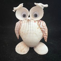 an owl made out of seashells sitting on top of a black surface with eyes wide open