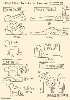 an image of how to draw cats and dogs