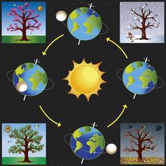 an image of the earth's four seasons