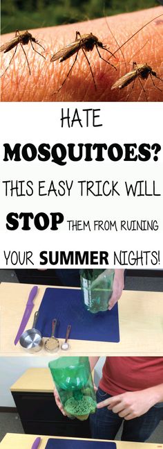 mosquitoes on the arm with text overlay that reads, hate mosquitooes? this easy trick will stop them from running your summer nights