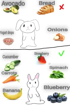 the different types of fruits and vegetables are labeled in this diagram, including blueberries, carrots, broccoli, avocado, and bread