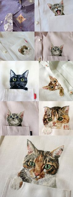 many different pictures of cats with their faces in the shirt pocket and on the collar