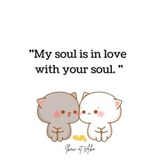 two cats that are facing each other with the caption'my soul is in love with your soul '