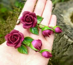 three purple roses are placed on the palm of someone's hand with green leaves