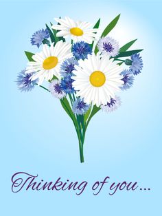 a bouquet of daisies and blue flowers with the words thinking of you on it