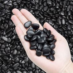 a hand holding some black rocks on top of a pile of other stones and pebbles