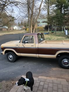 a brown and white truck parked on the side of a road next to a dog