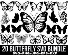 20 butterfly svg bundle for silhouettes