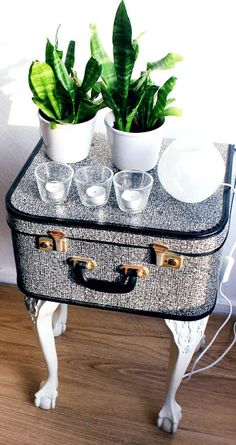 an old suitcase turned into a table with plants on top and glasses in the bottom