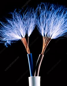 two blue and brown wires in a white vase on a black background with lightening