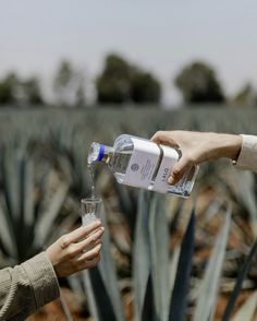 Tequila Product Photography, Tequila Photoshoot, Mezcal Branding, Tequila Aesthetic, Mexican Photography, Tequila Mexico, Bottle Shoot