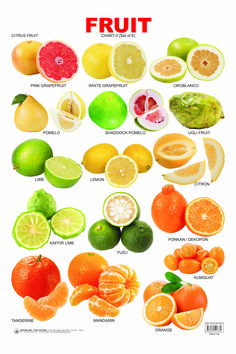 an image of citrus fruits and their names