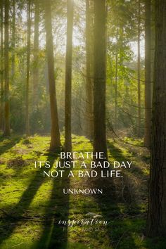 the quote breathe it's just a bad day, not a bad life unknown