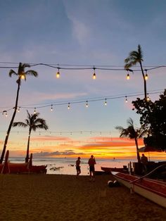 people standing on the beach at sunset with palm trees and lights strung across the sand