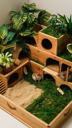 two hamsters are in their habitat with plants and grass on the floor below them